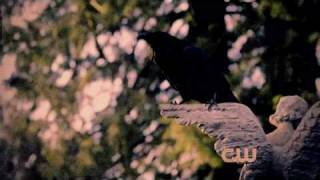 Bad Romance Damonelena Preview