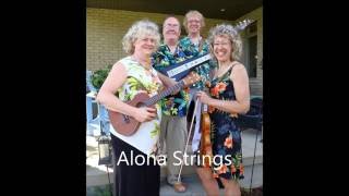 Aloha Strings - Hawaiian Band: Tiny Bubbles