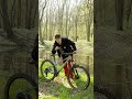 Marin Bobcat Trail 3 #rower #marinbikes #mtb #shorts