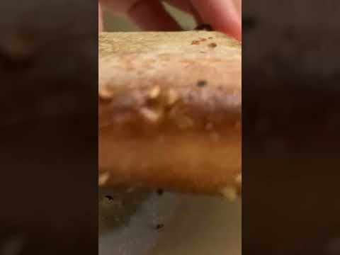 Video Bread Happy landing - youtube