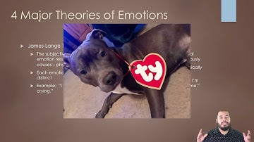 Theories of Emotions, Dissociative Identity Disorder, & Projective Tests