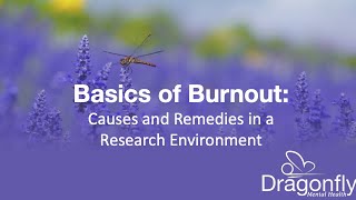 Celebrity Basics of Burnout Net Worth