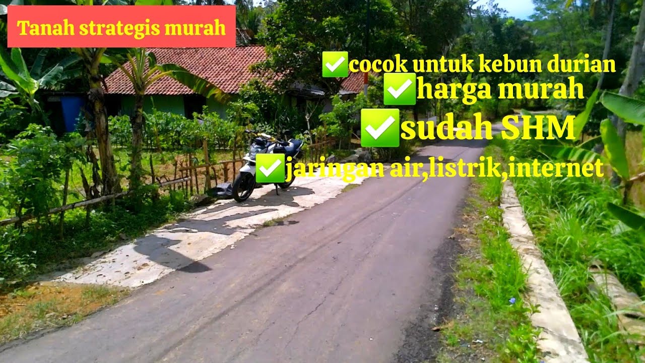 Tanah Strategis Bagus Banget Boss‼️Harga juga Murah Cocok Untuk Kebun Durian air melimpah