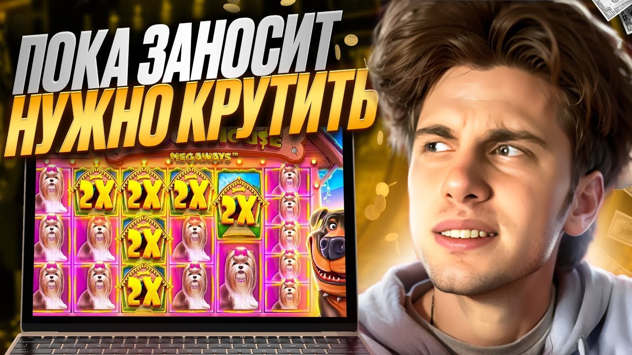 Дог хаус мегавейс