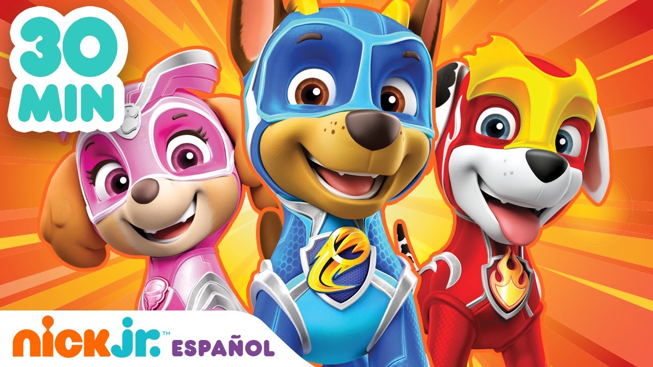 Patrulla Canina, Buque Cohete de Skye, Vehículo y Figura Paw Patrol Paw  Patrol