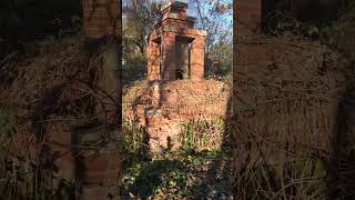 IMG 2526