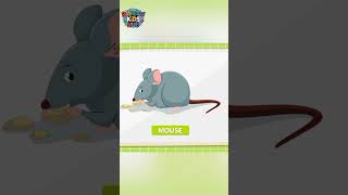 #PetAnimals#PetAnimalsForKids#LearnAnimals#AnimalsName#KidsLearning#PreschoolLearning#abclearning