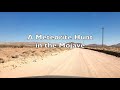 A Meteorite Hunt in the Mojave