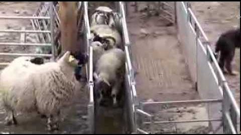 Crystal FM Radio Promo