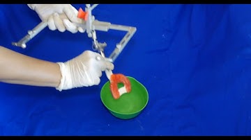 Occlusion 04 Facebow Registration and Mounting slide 26