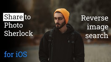 Reverse image search on iOS by share to Photo Sherlock app