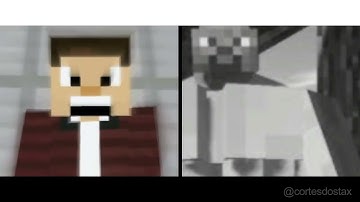 minecraft fan vs minecraft enjoyer
