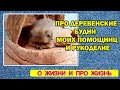 Vlog Про деревенские будни | Моих помощниц |  Рукоделие