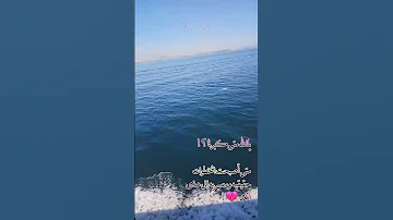 كل الي معاك ف صوره غاب بدون ايقاع حالات واتس 