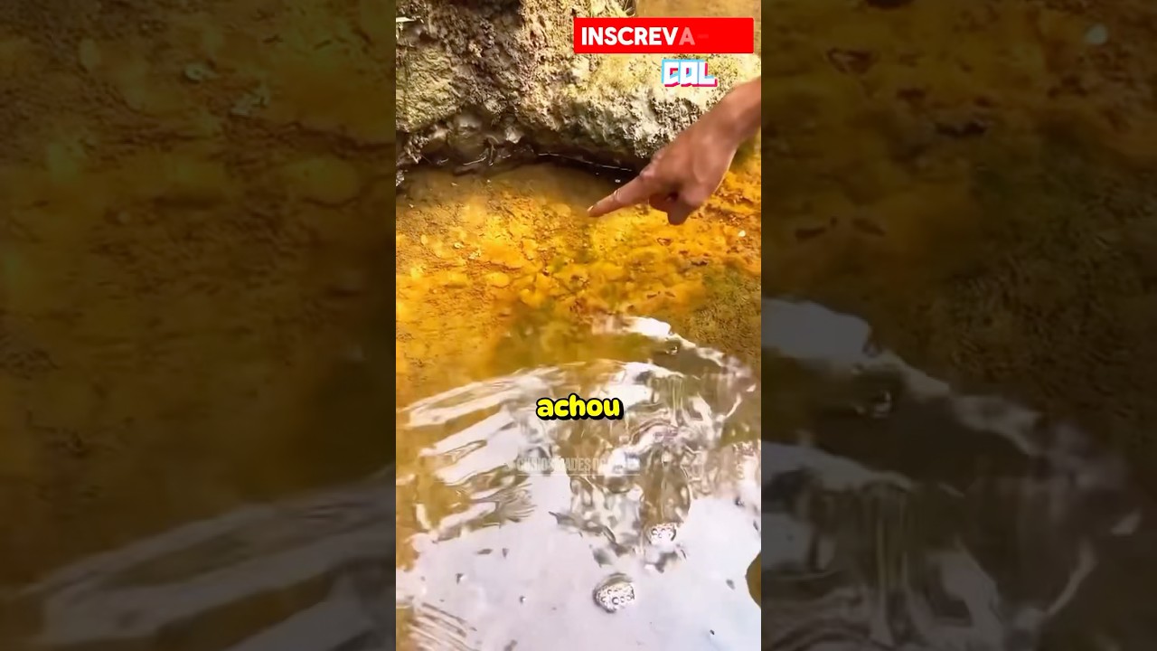 ELE ACHOU UMA MINA DE OURO #curiosidades #shorts #short #viralvideo #ouro #good #mina