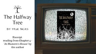 Excerpt reading from Chapter 4, 'At Mamere's House', of 'The Halfway Tree'
