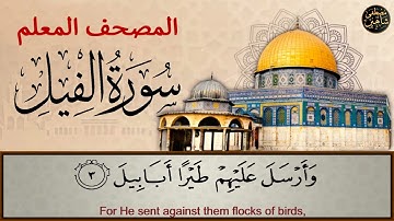 سورة الفيل - المصحف المعلم- المعاني بالإنجليزية- مصطفى شاهين. Quran |English Translation| AL-FEEL