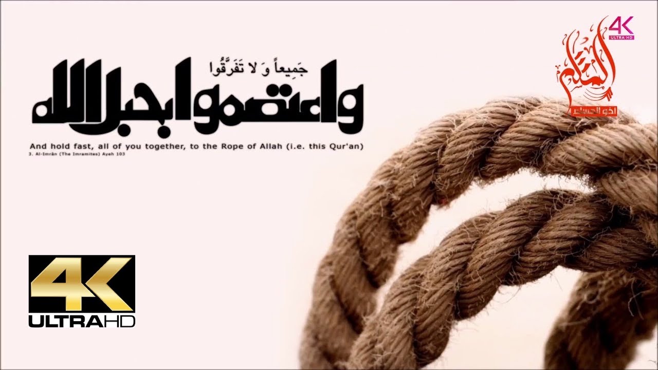 الفهم الصحيح لقاعدة من لم يكفر الكافر فهو كافر - الشيخ صالح آل الشيخ