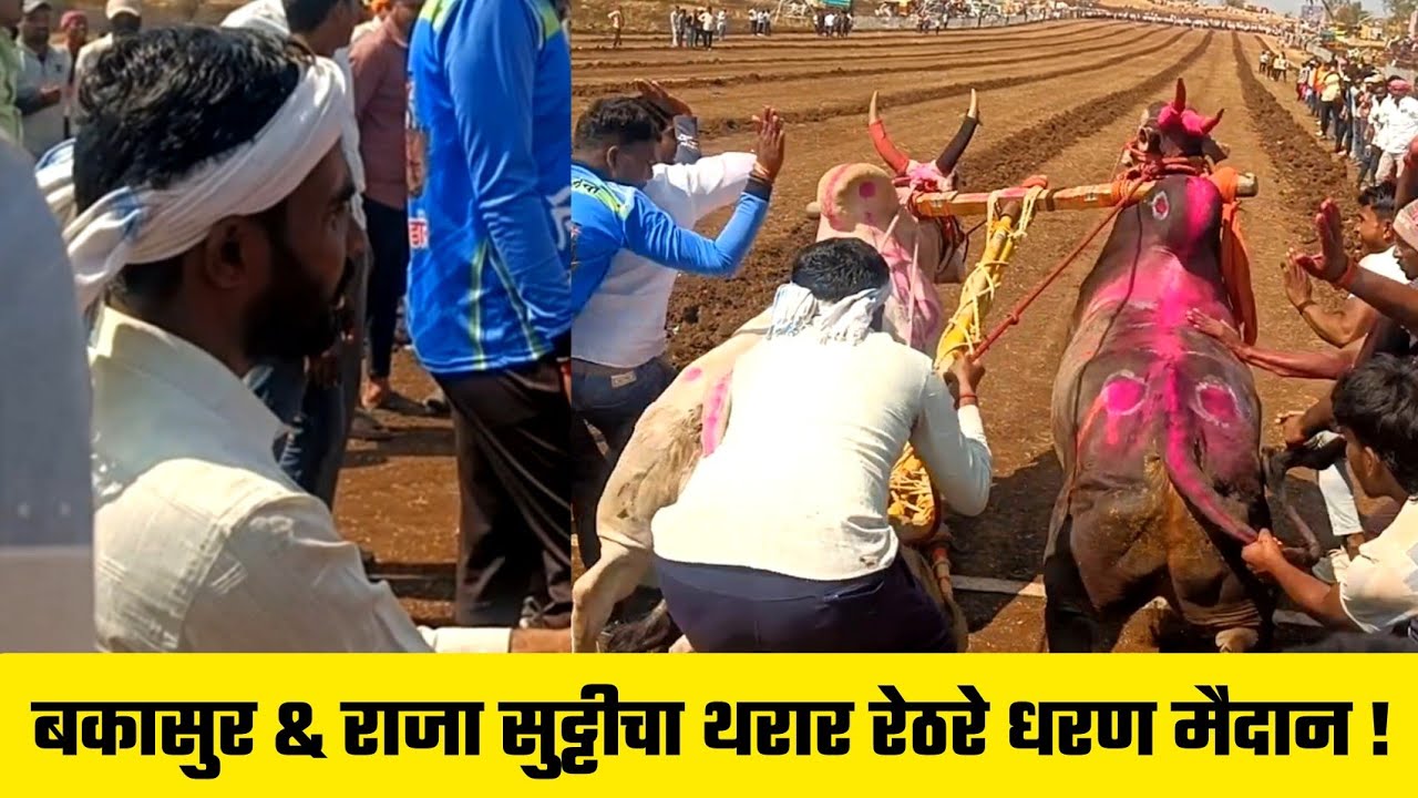बकासुर & राजा सुट्टीचा थरार रेठरे धरण मैदान !