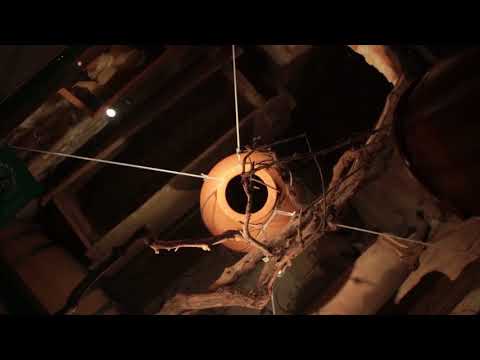 ვინოტელი კადრები