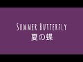 Summer Butterfly || 夏の蝶