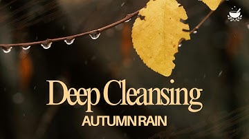 Deep Cleansing Autumn Rain | Heavy Rain for Emotional Release & Calm