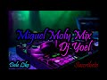 Miguel moly mix  dj yoel exitos de miguel molytecno merengue