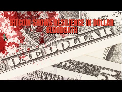 Bitcoin Shows Resilience In Dollar-Driven Bloodbath