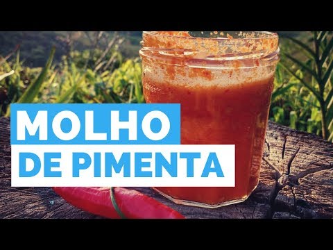 O Que Você Precisa Saber Sobre o Molho de Pimenta - Saiba Se Faz Mal ou Não