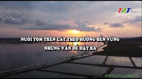 Nuôi tôm trên cát theo hướng bền vững những vấn đề đặt ra