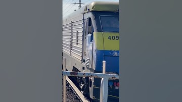 Thumbnail of #tren al #sur #shortshorts #youtubeshorts