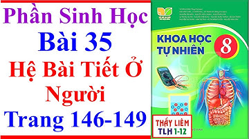 Khoa Học Tự Nhiên 8 Bài 35 | Hệ Bài Tiết Ở Người | Trang 146 – 149 | Kết Nối Tri Thức | Sinh Học 8