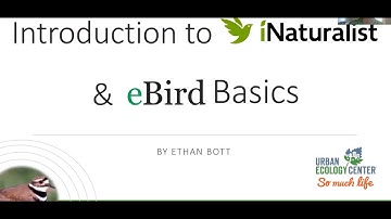 Introduction to iNaturalist & eBird - Backyard Naturalist Lecture Series