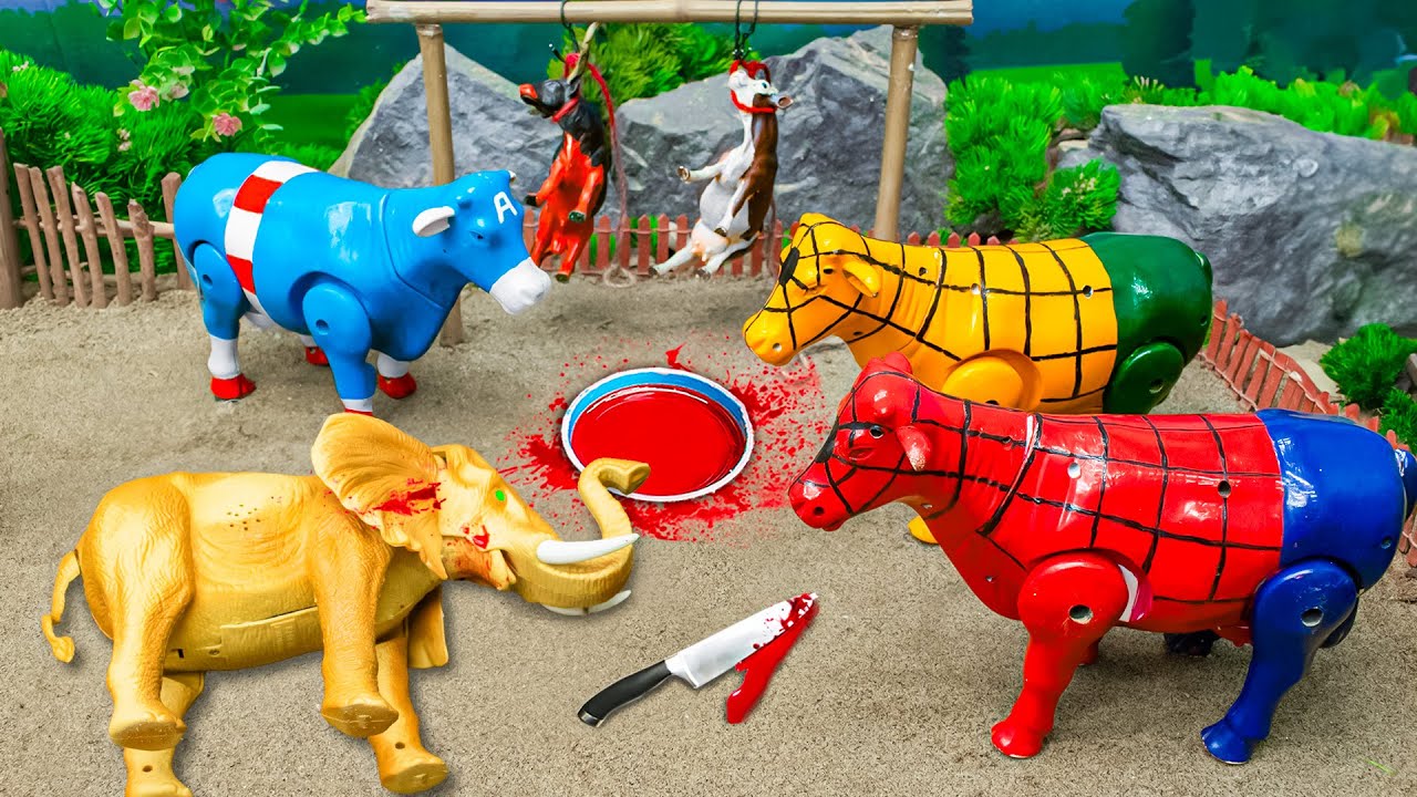 Wadidau‼️Proses Potong Sapi Moo | Proses Melahirkan Cesar Kerbau & Kuda #80