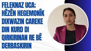Siyasetmedar Feleknaz Uca Hêzên Hegemonîk Dixwazin Careke Din Kurd Di Qirkirinan Re Bê Derbaskirin