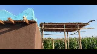 the traditional mud house in the Egyptian village how looks
