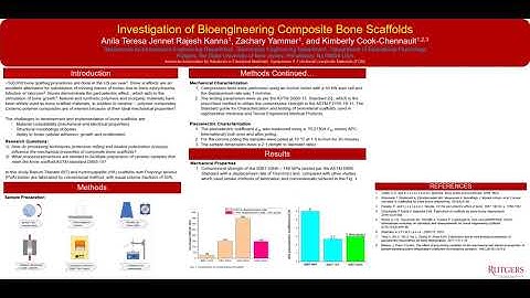 Investigation of Bioengineering Composite Bone Scaffolds
