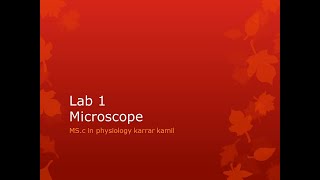Lab 1 /Microscope