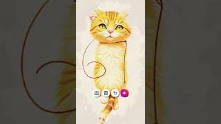 67 dream cat SCP song