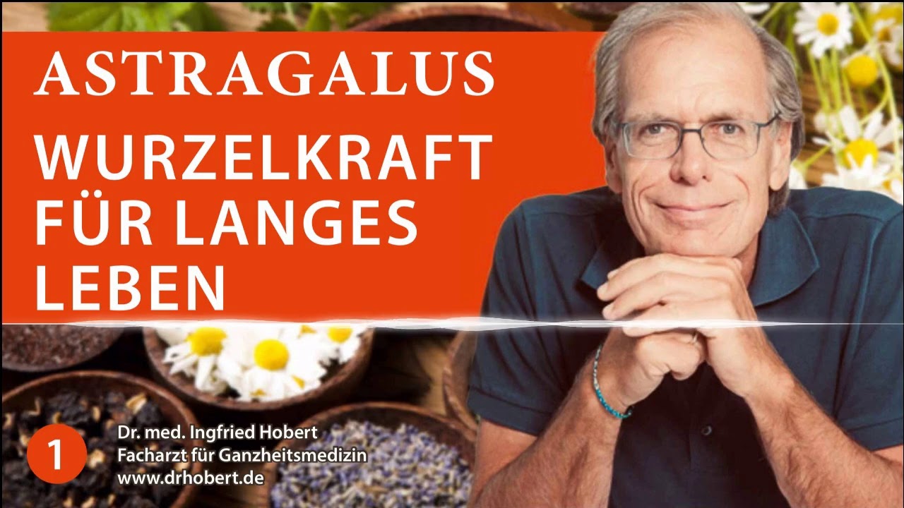 Die Astralagus Wurzel  - Heilkraft für ein langes Leben - Dr. Med. Ingfried Hobert - Podcast 1
