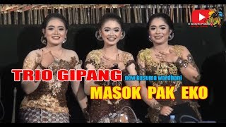 TRIO GIPANG - MASOK PAK EKO