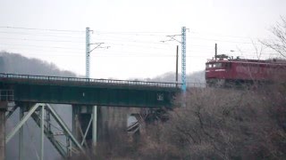 東北本線 黒川橋りょう ＥＦ８１+Ｅ２３１系 郡山入場配給回送 2015.12.10
