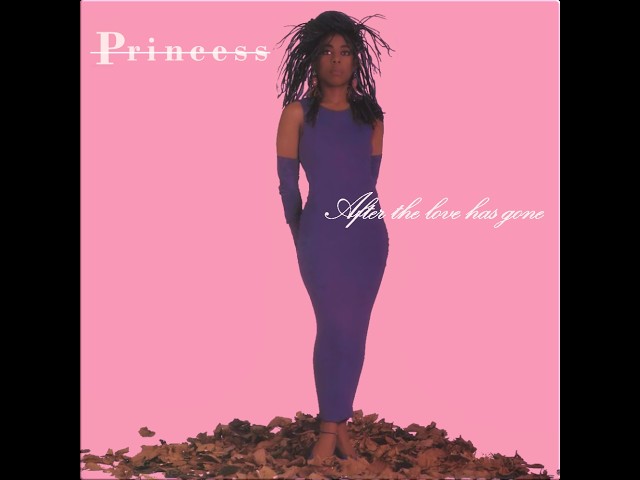 洋楽 Princess After the Love Has Gone Princess – After The Love Has Gone – Vinyl (12
