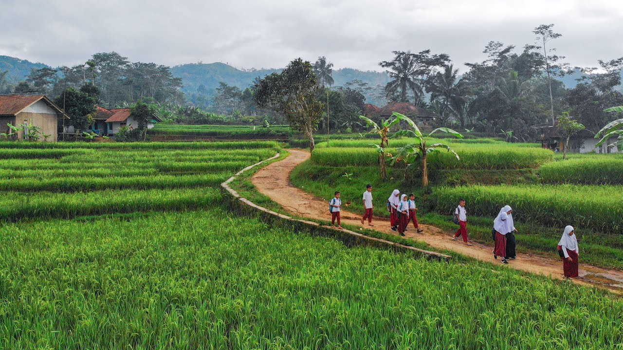 Ya Beginilah Aktivitas Di Desa. Sekolah, Kerja & Gotong Royong | Pemandangan Alam Pedesaan Singajaya