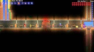 Terraria] bug hunter [music box mayhem ...