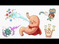 Digestive System For Kids, Learning Human Body Science