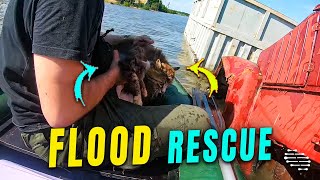 Cat Rescued From a Flooded Truck by Two Men