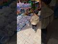 BELI IKAN HIAS DIGUNUNGSARI SURABAYA #gunungsari #ikanhias #ikan