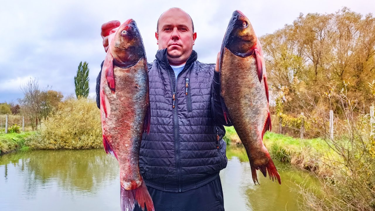 КОПЧЕНИЕ КРУПНЫХ ТОЛСТОЛОБИКОВ. ПРОСТАЯ КОПТИЛЬНЯ. ГОРЯЧЕГО КОПЧЕНИЕ ...