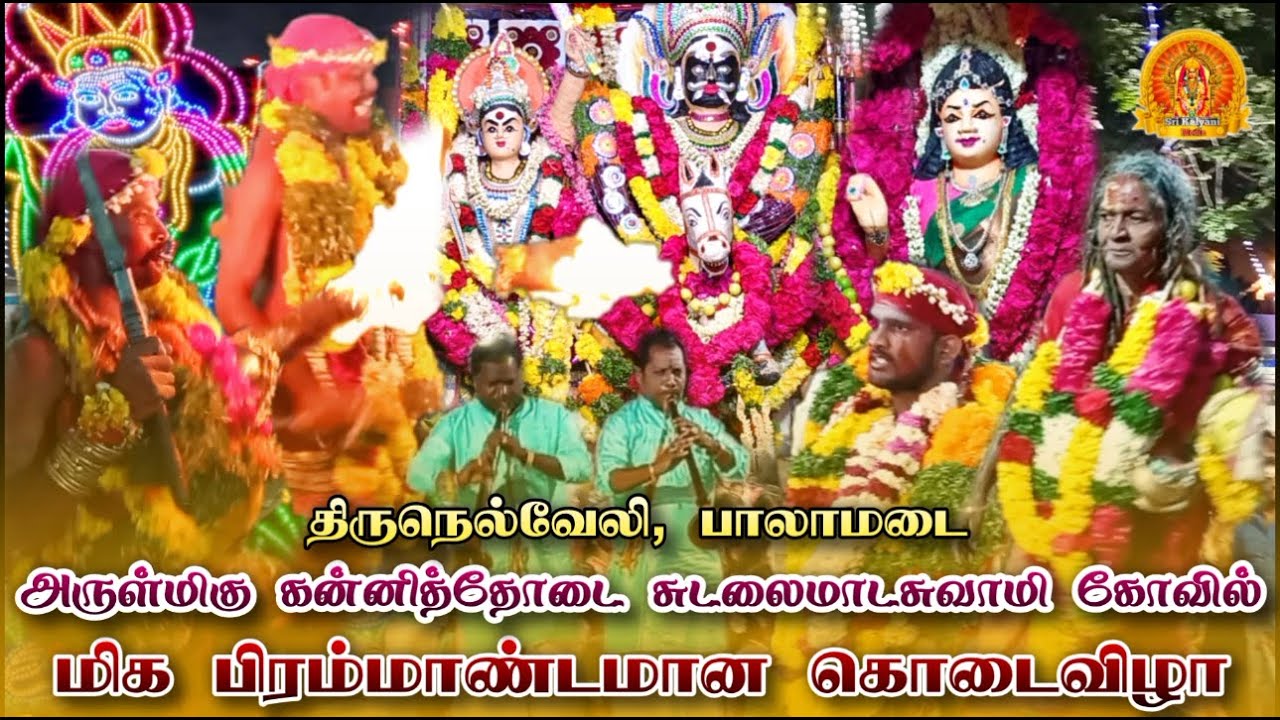 பாலாமடை கன்னித்தோடை சுடலைமாடசுவாமி கோவில் கொடைவிழா | Palamadai Village festival | Sudalai koil kodai